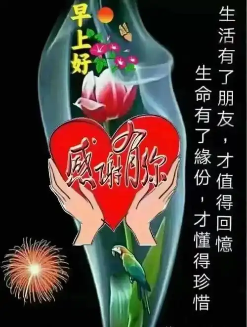 早安图片早上好暖心祝福语短信早上好漂亮问候图片