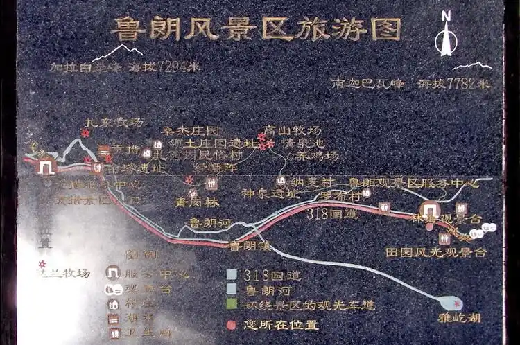 坐着火车去拉萨:(22)走进鲁朗观林海