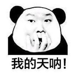 我的天呐熊猫头搞怪逗gif动图_动态图_表情包下载_soogif