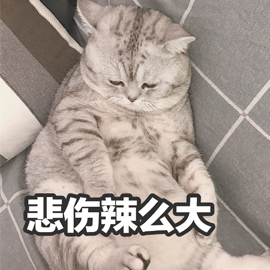悲伤辣么大gif猫gif伤心gif可爱gif呆萌gif