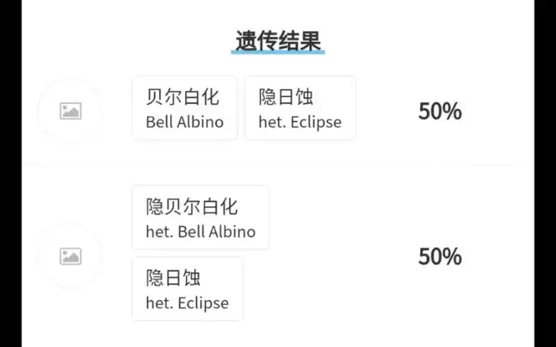 豹纹守宫基因图谱1
