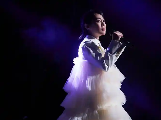 刘若英演唱会头部造型引议论,网友:真像个篮筐,完全都可以投篮_争议