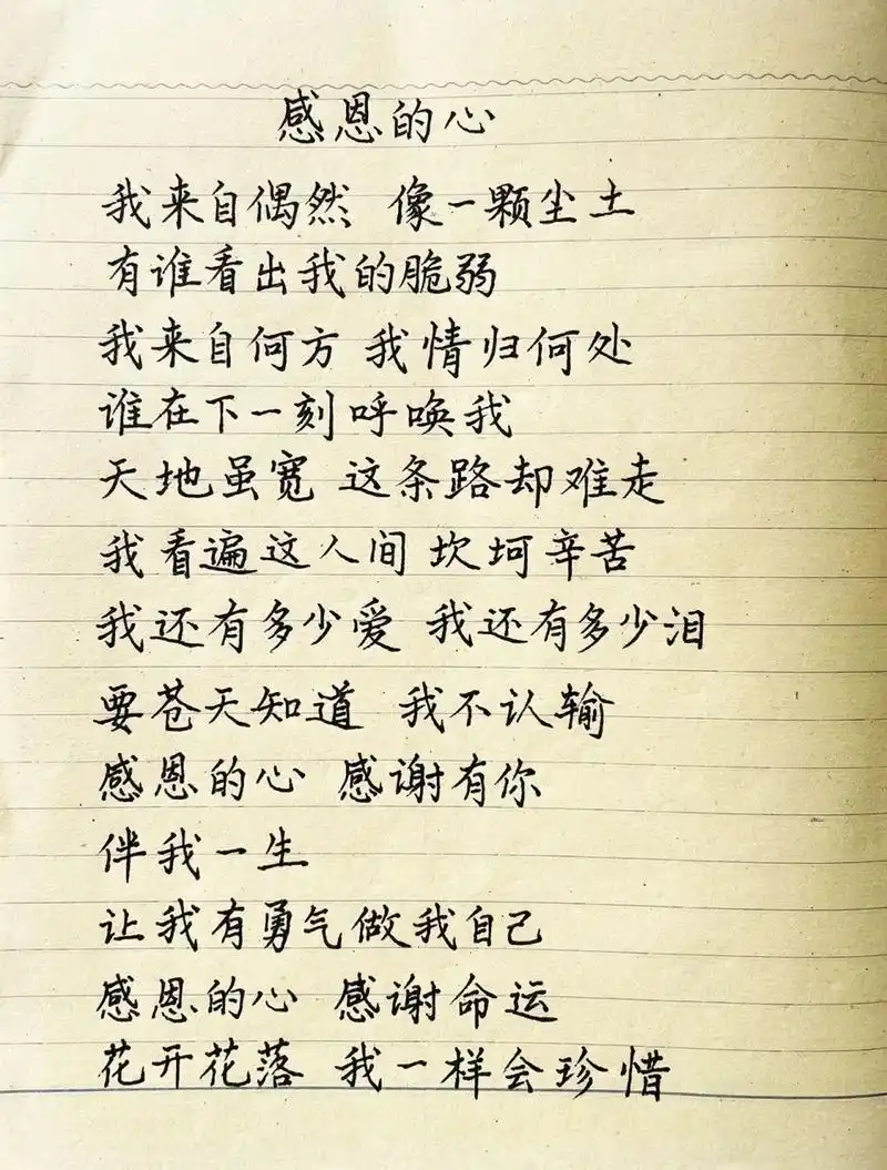 抄歌词:感恩的心     我来自偶然 像一颗尘土 有谁看出我的脆弱 我
