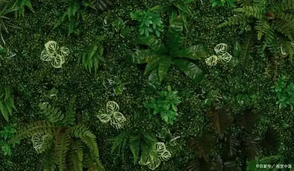 深绿色是一种非常有吸引力的颜色,可以搭配多种颜色来突出其美感.