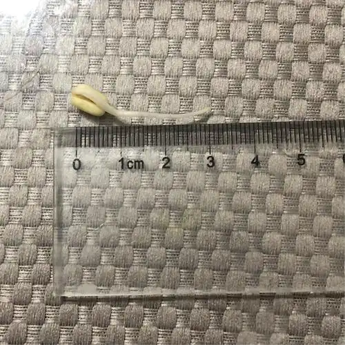 拿尺子量一下吧.哇,已经3厘米长了!