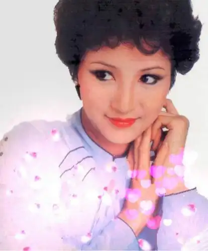 【图】谢霆锋母亲图片美貌惊人 与前夫离婚后仍是好友