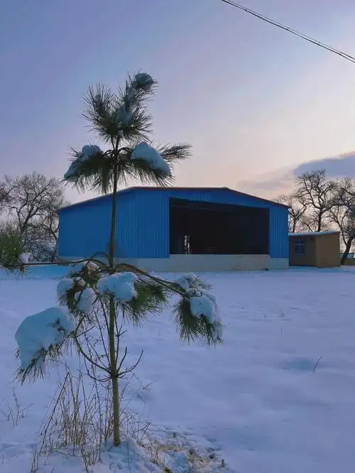 雪的寓意奇迹洁白丰收
