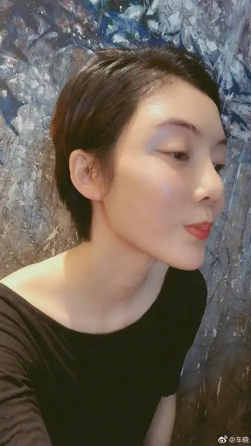 车晓鼻子整成朝天鼻照片,朝天鼻非常严重的明星还有谁?