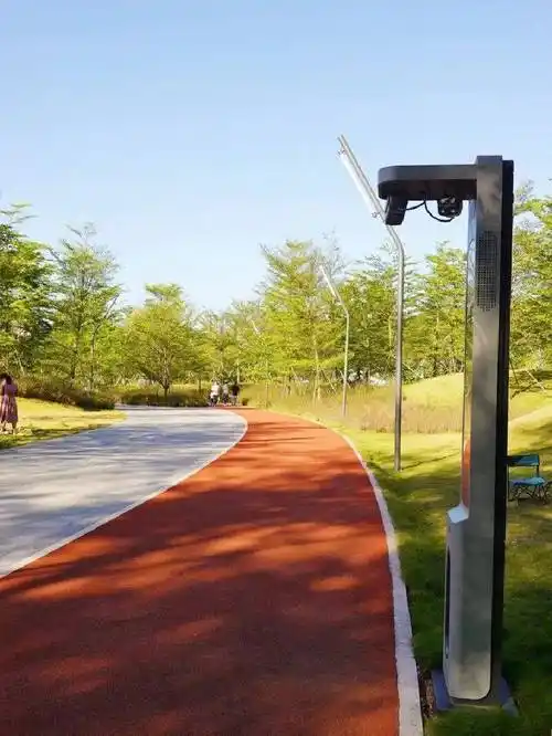 彭于晏现身深圳笔架山公园