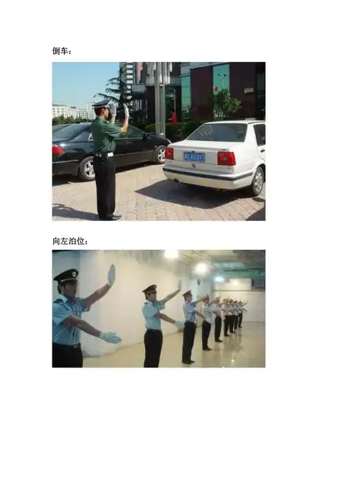 保安倒车手势_第1页