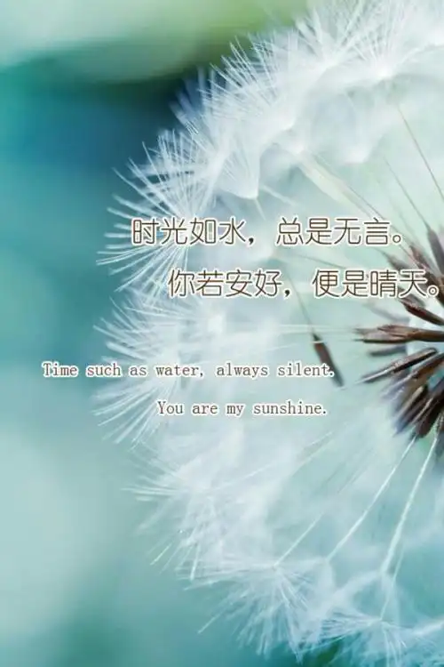 你若安好便是晴天