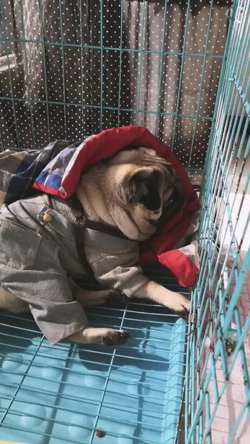 2021我的心愿#给自己藏起来了