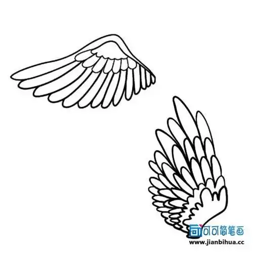 翅膀简笔画 翅膀简笔画简单又漂亮