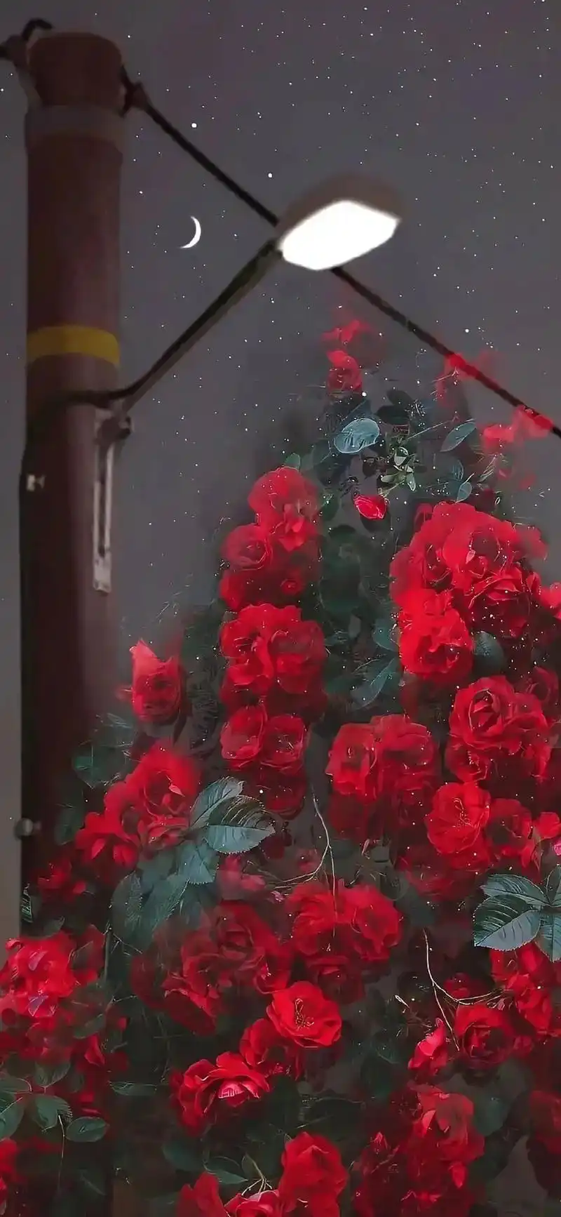 神仙滤镜 #愿你遇到的人都是温暖的 #ins壁纸分享 #治 - 抖音