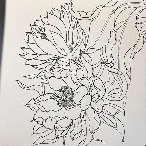 针管笔花卉昙花