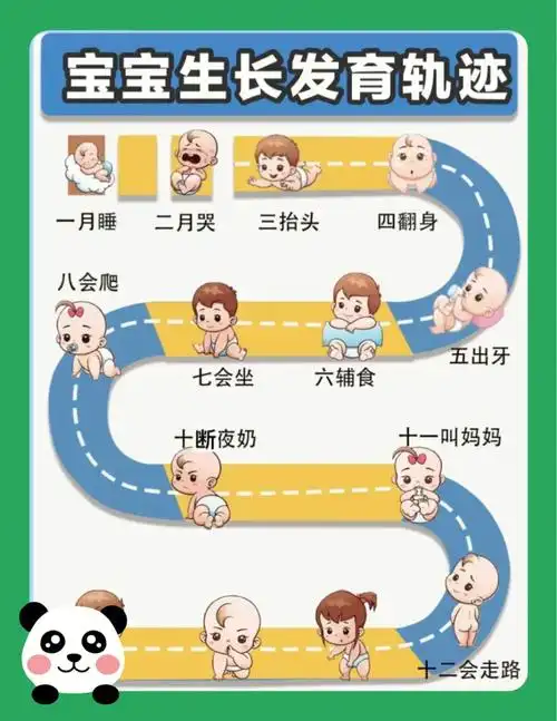 你对知多少012个月宝宝生长发育轨迹