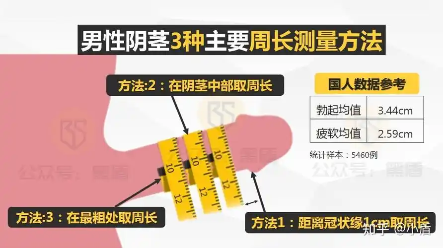 详细图示▕ 如何正确的测量丁丁尺寸?