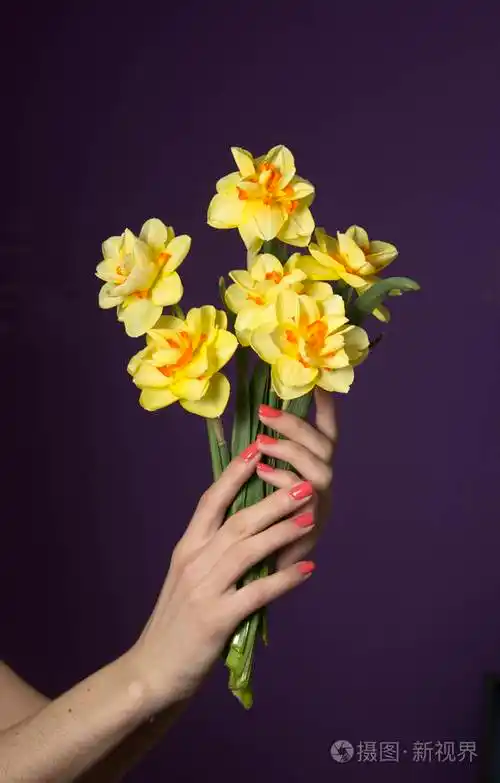 女人手里拿着一束花春天的花水仙女性假期