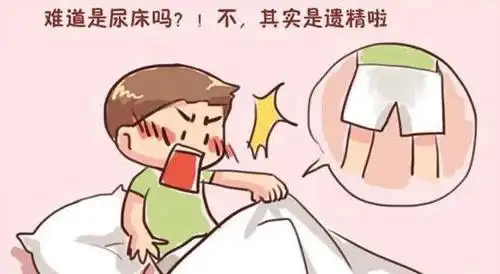 梦遗是什么意思,怎样才能算梦遗了插图(1)