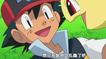 神奇宝贝:月桂叶对小智还是热情,但小刚和小光为何提到精灵球?