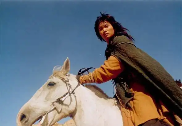 资料图片电视剧关西无极刀精彩剧照13