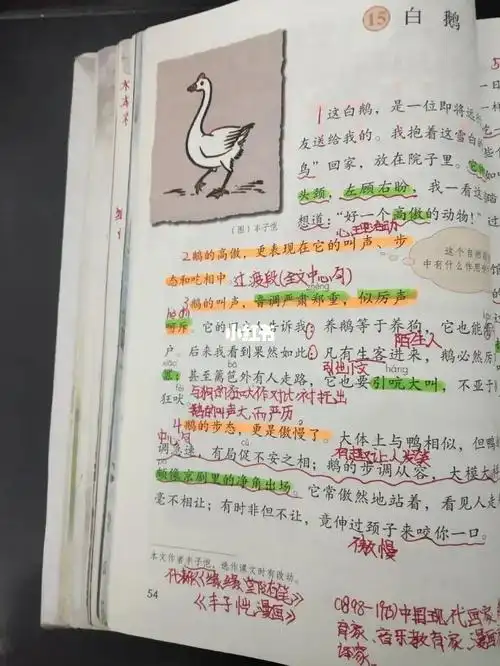 人教统编版四年级下册第15课白鹅