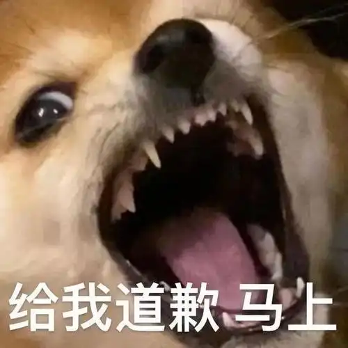 可爱沙雕表情包来亲一个