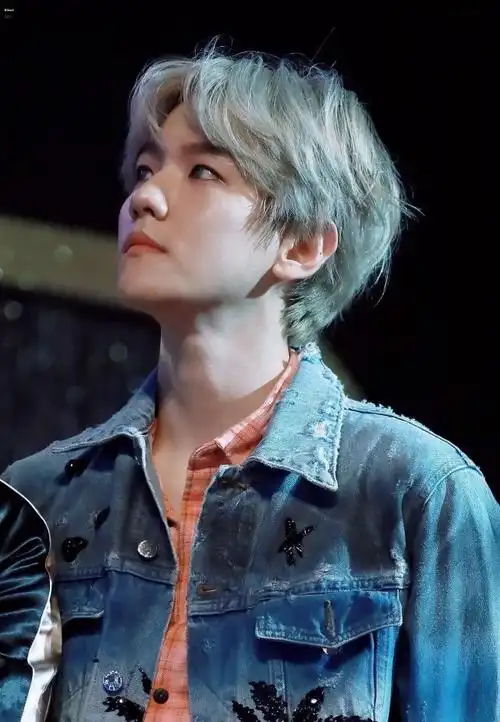 精选边伯贤壁纸:最耀眼的伯贤