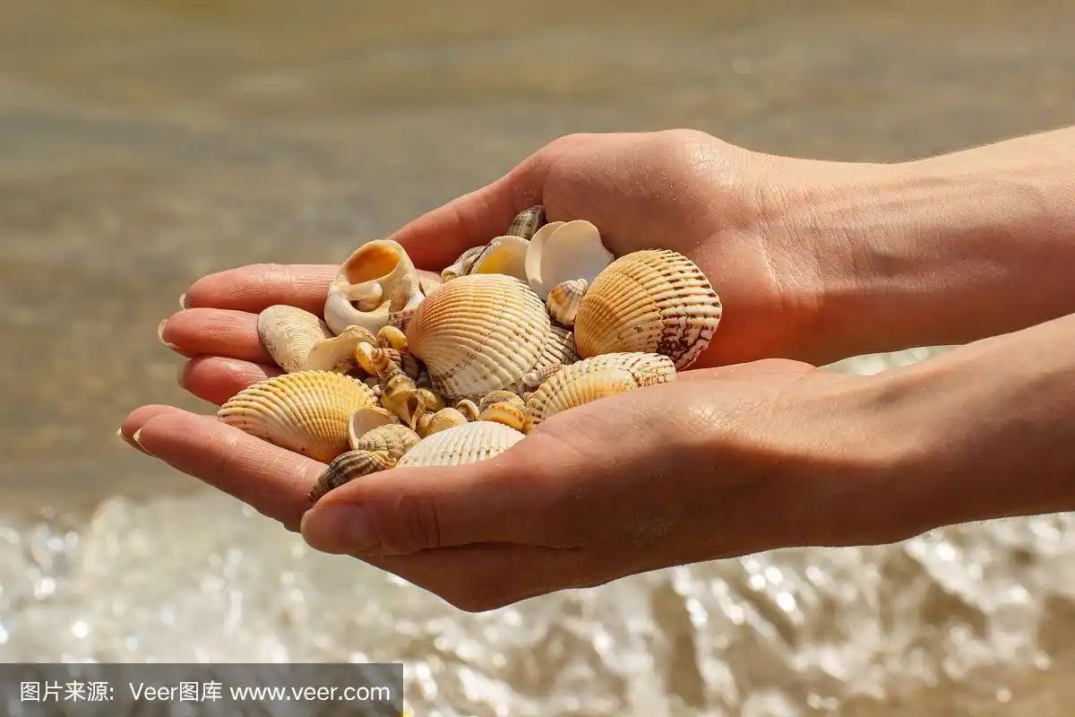 在海边的海滩上,一个女人手里拿着贝壳