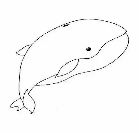 幼儿卡通鲸鱼简笔画图片大全