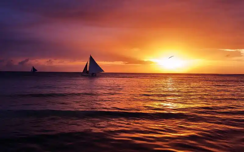 海边,日落,帆船,夕阳,大海,平静,海平面,,风景海边壁纸图片