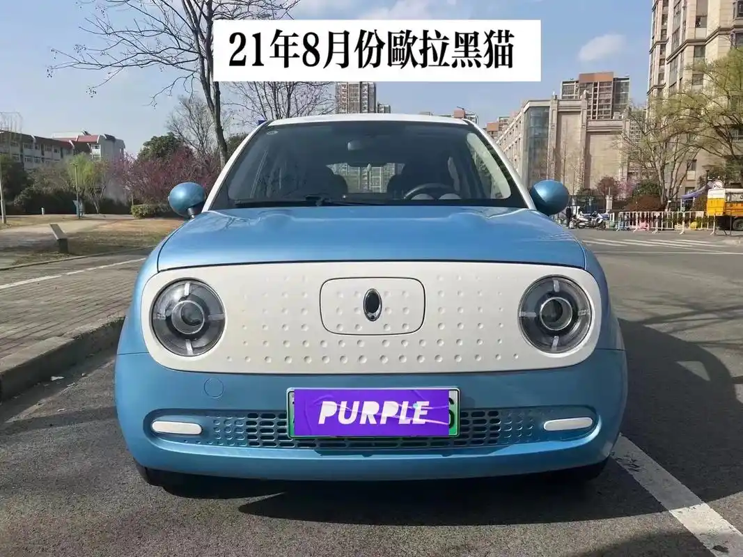 欧拉黑猫.新到21年8月份欧拉黑猫 301km续航 小姐姐一 - 抖音