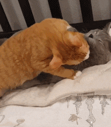 220_253gif 动态图 动图