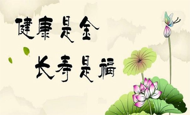 铁皮石斛多少钱一斤,铁皮石斛价格及购买须知!