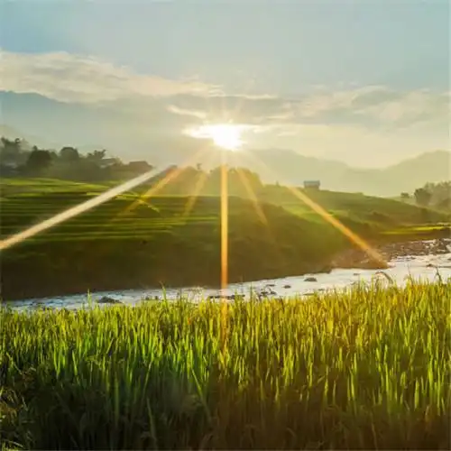 适合一辈子风景头像图片 高清值得一辈子不换的头像风景_风景微信头像