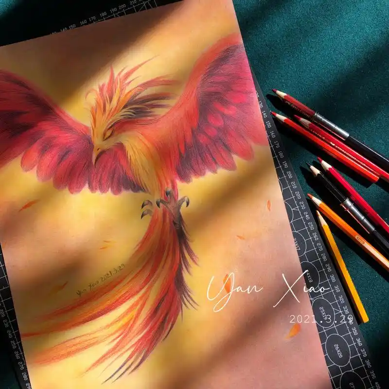彩铅画 | 浴火重生 火凤凰 《凤凰涅槃》中说:"凤凰每500年自焚为灰烬