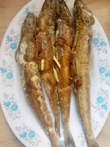 香煎九母鱼(电白特色美食)(0/7)