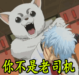 254_240gif 动态图 动图