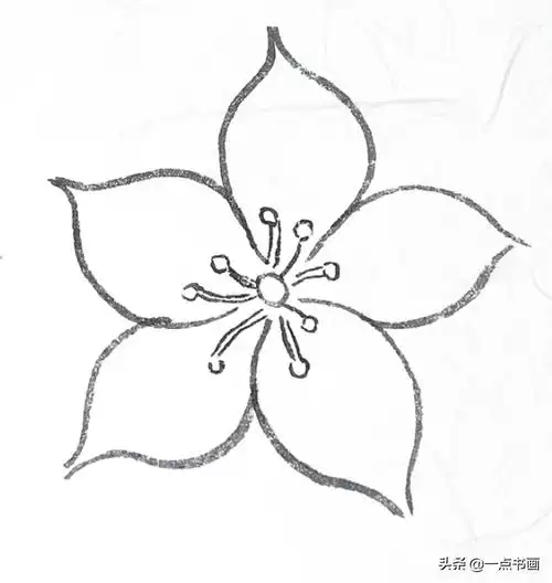 桃花简笔画简单又好看白描玉兰花与桃花画法步骤