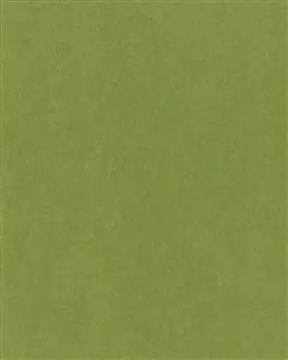 护眼背景可爱绿色背景无字图片水彩渐变淡绿色背景图绿色植物背景图