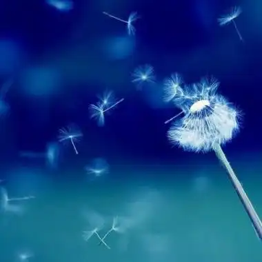 qq头像风景唯美小清新高清唯美小清新风景图