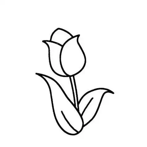 郁金香花简单画法4-儿童简笔画大全