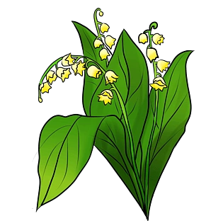 花卉植物风铃花插画