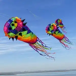 长尾软体风筝