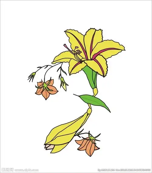 百合 绘画 创意 花朵设计图__图片素材_其他_设计图库_昵图网nipic.