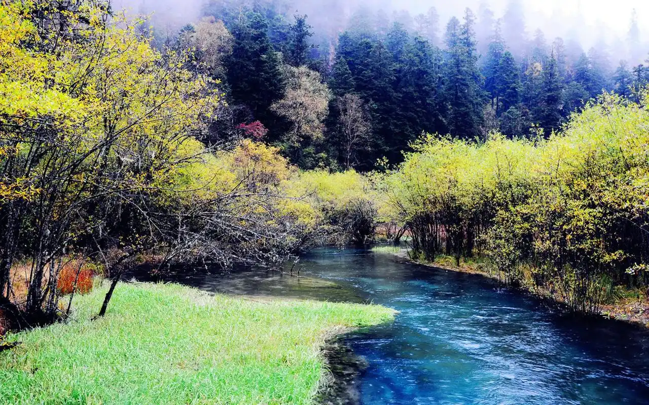 上一张 下一张 简介 小编为大家带来一组九寨沟唯美仙境自然风景高清