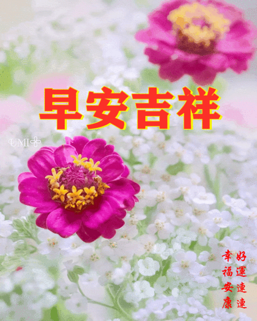 20216116124周日愉快《早安30心语》