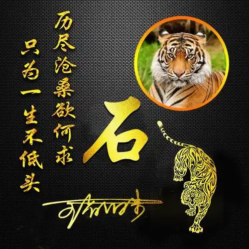 宝宝起名妈妈姓石怎么取(姓氏石怎么拆分)