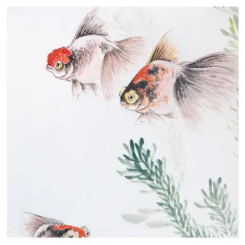 周克成 《悠然水中似神仙》 金鱼名家