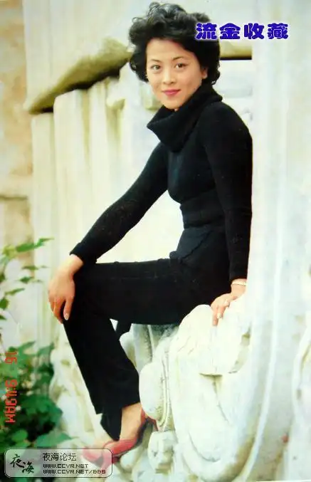 八十年代电影明星的旧貌和新颜3陈肖依